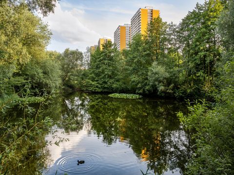 Teich mit einer Ente, umgeben von Bäumen, im Hintergrund hohe Wohngebäude.