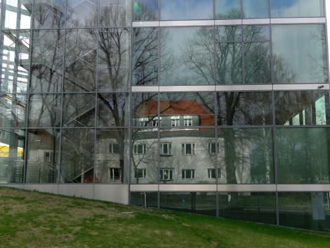 Großflächige Spiegelung und Transparenz neben Vegetation werden zur tödlichen Falle. (Bild: Klemens Steiof)