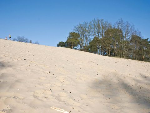 Binnendüne Baumberge