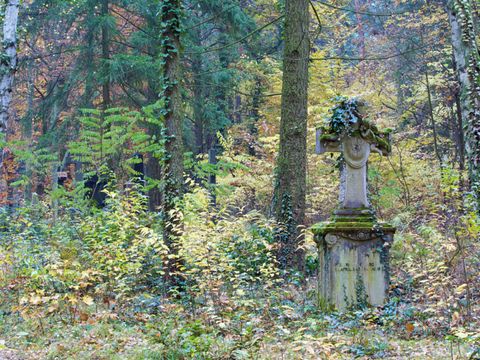 Naturoase städtischer Friedhof