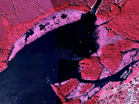 Digitales Orthophoto Nördlicher Teil des Seddinsees (ca. 1,5 km x 1,1 km) (Bild: Geoportal Berlin / Digitale Color-Infrarot-Orthophotos)