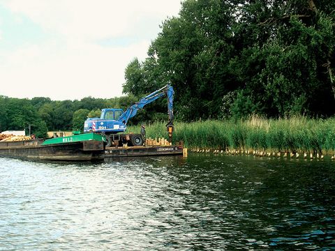 Setzen von Palisaden zum Röhrichtschutz (Bild: SenUVK)