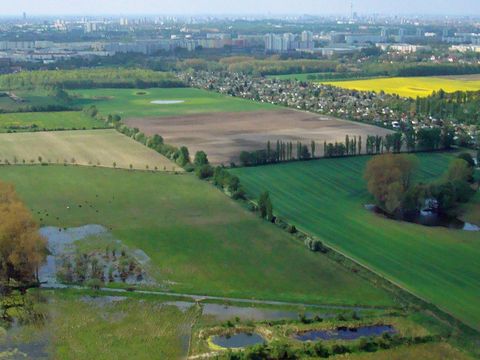 Die urbane Landschaft am Rande Berlins zeigt einen vielgestaltigen Wechsel verschiedener Biotoptypen. Diesen zu erfassen ist Aufgabe der Biotoptypenkartierung.