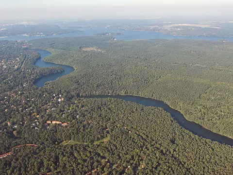 Grunewald (Bild: Florian Möllers)