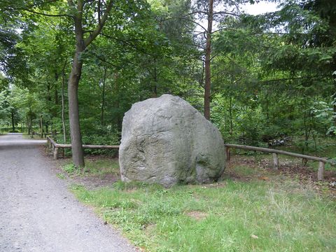 Findling aus Granit im Grunewald