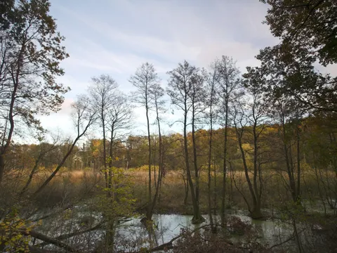 NSG und NATURA 2000-Gebiet Fließwiese Ruhleben
