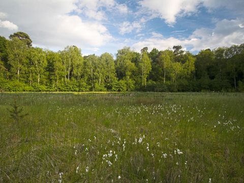 NSG Barssee und Pechsee