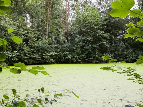 NSG Ziegeleigraben / Albtalweg
