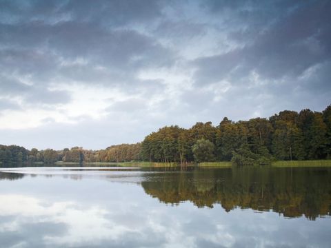 NSG Grunewaldsee (südlicher Teil)