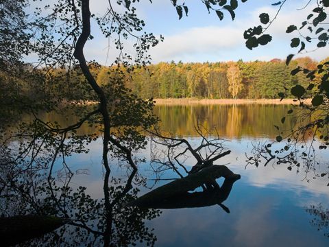 Grunewaldsee (Bild: Florian Möllers)
