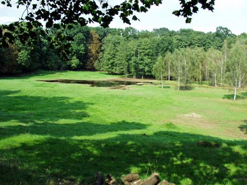 Wiese am Hundekehlefenn (Bild: SenUMVK)