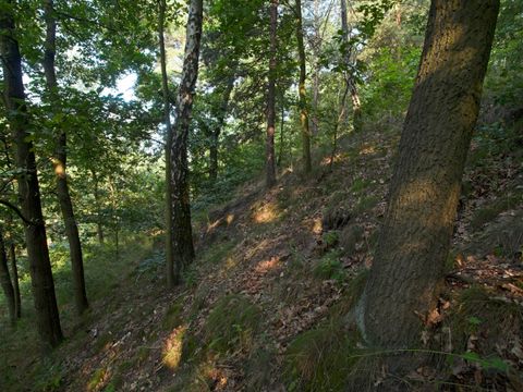 Murellenschlucht und Schanzenwald (Bild: Florian Möllers )