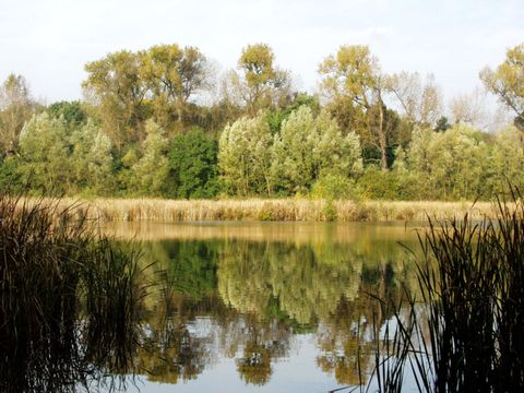 NSG Fauler See