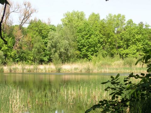Fauler See (Bild: SenUMVK)