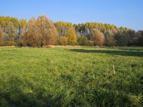NSG Wartenberger / Falkenberger Luch, Falkenberger Luch