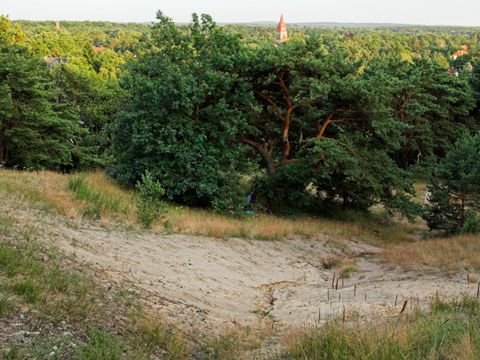 NSG und NATURA-2000 Gebiet Wilhelmshagen-Woltersdorfer Dünenzug, Blick von den Püttbergen nach Wilhelmshagen
