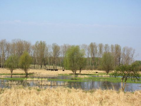 Falkenberger Rieselfelder (Bild: SenUMVK)