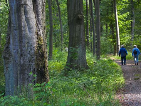 NSG Bogenseekette und Lietzengrabenniederung, Wanderweg