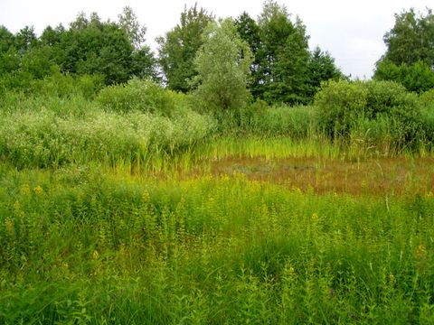 Grünauer Kreuz (Bild: Holger Brandt)
