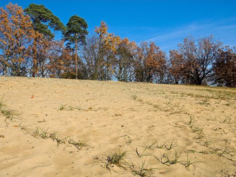 NSG und NATURA 2000-Gebiet Baumberge, Sand-Segge