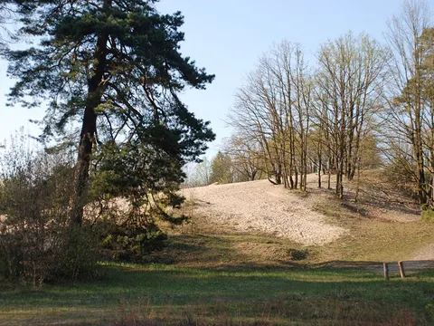 Sanddüne Baumberge (Bild: Holger Brandt)