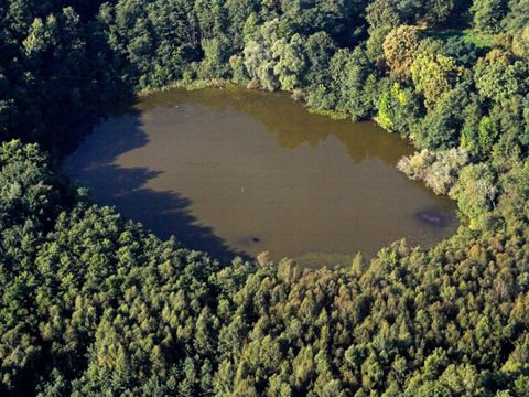 NSG und NATURA 2000-Gebiet Teufelsseemoor Köpenick, Luftbild