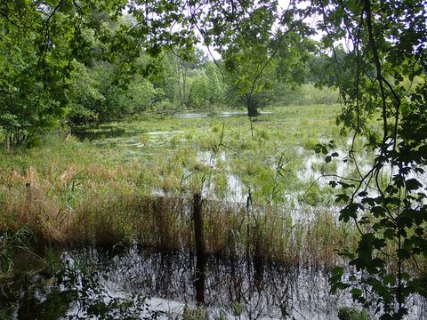 Überschwemmung (Bild: SenUVK)