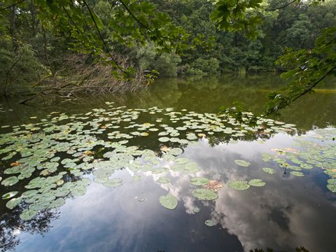 Teufelssee (Bild: Florian Möllers)