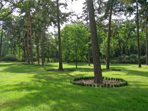 Grabstätten im Baumfeld