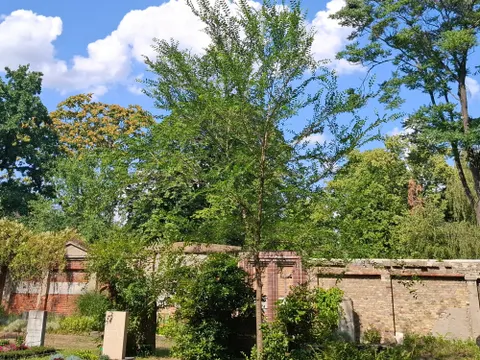 Wandgräber auf dem evangelischen Domfriedhof in Berlin-Mitte