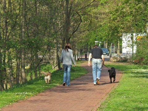 Spaziergang mit angeleinten Hunden (Bild: SenUMVK)