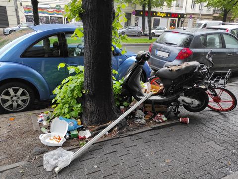 Müllablagerung auf einer Baumscheibe (Bild: SenMVKU)