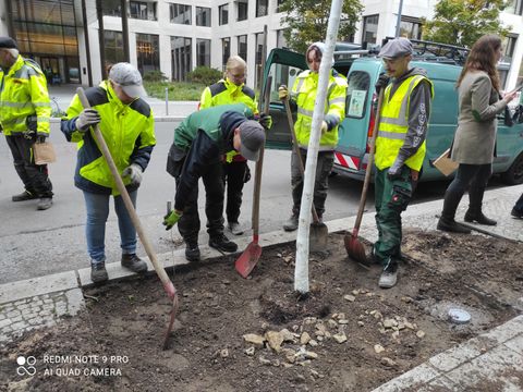 Mitarbeitende des Straßen- und Grünflächenamtes Mitte (Bild: SenMVKU)