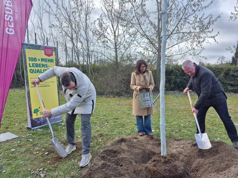 Eventpflanzung GESOBAU 2026: Arbeitsteilung: Der Vorstand der GESOBAU (Herr Holborn und Herr Wilkens) sowie die Bezirksbürgerneisterin Zivkovic (Bild: SenMVKU)