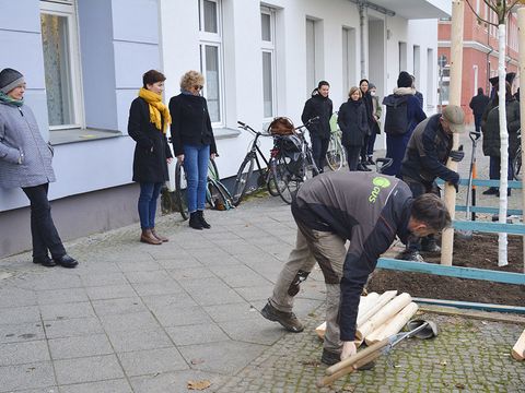 Baumpflanzung (Bild: SenUVK)