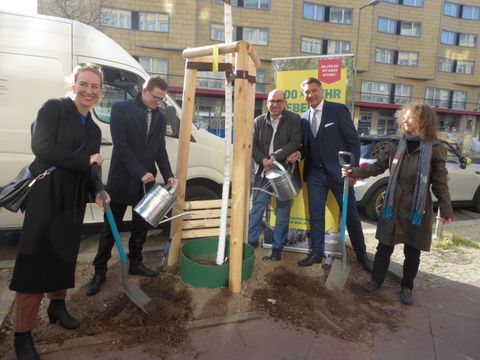 100 Straßenbäume von der Berliner Feuersozietät, der Berliner Sparkasse und der Deka-Bank (Bild: SenUMVK)