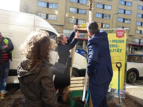 Das Baumschild wird angebracht. (Bild: SenUMVK)