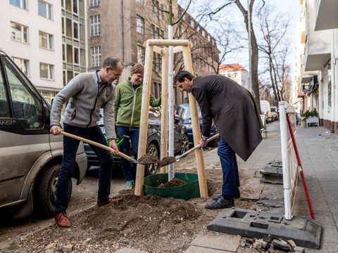 Pflanzung einer Winterlinde in der Donaustraße 102 (Bild: Andreas Friese)