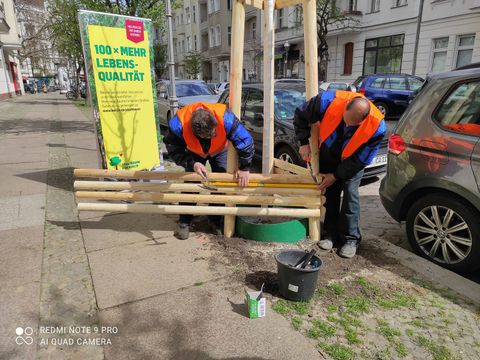 Baumpflanzung in der Friedbergstraße 8 in Charlottenburg-Wilmersdorf (Bild: SenUVK)