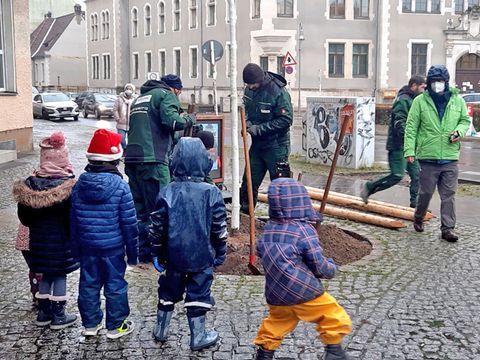 Kinder der KiTa Rabenkinder lernen Bäume pflanzen. (Bild: SenUVK)