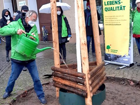 Herr Junge von Team50+ Greenpeace Berlin gießt den Zierapfel an. (Bild: SenUVK)