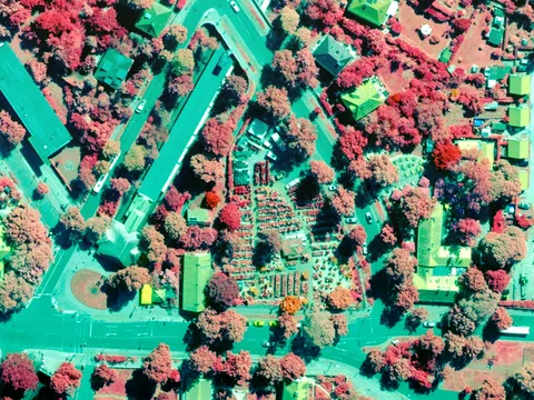 CIR-Luftbild Berlin 2025 (Norden = unten) (Bild: Geoportal Berlin)