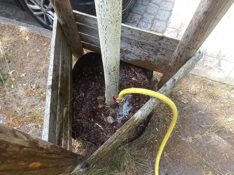 Wässern von Straßenbäumen (Bild: SenMVKU)