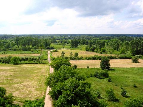 Hobrechtswald