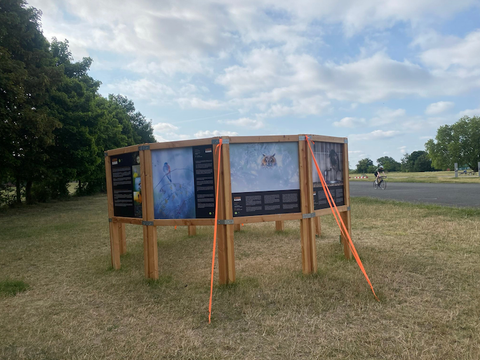 THF_NL-Querformat THF - Ausstellungstafeln auf dem Tempelhofer Feld