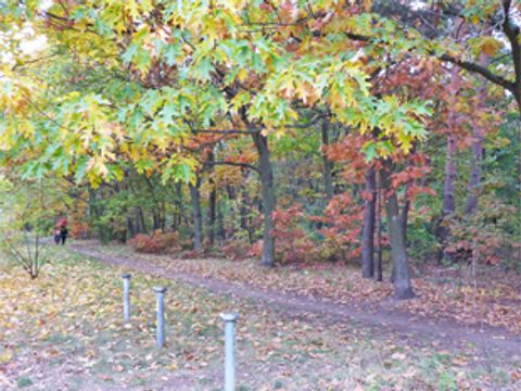 Messstellengruppe mit oberflurigem Ausbau von drei Einzelpegeln (Standort Wuhlheide)