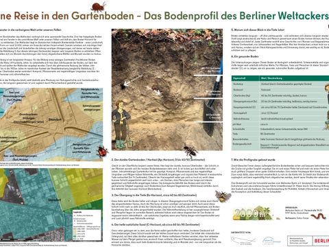 Schautafel Bodenprofil Berliner Weltacker