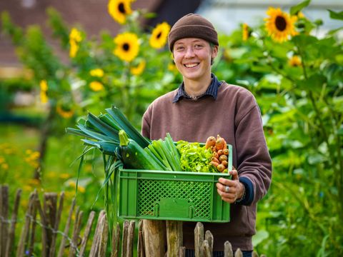 Eine Frau trägt eine Kiste mit frisch geertnetem Gemüse, im Hintergrund Sonnenblumen