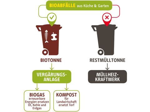 Bioabfälle aus Küche und Garten. Die Biotonne in Berlin ist Teil der Zero-Waste-Strategie der Berliner Senatsverwaltung für Mobilität, Verkehr, Klimaschutz und Umwelt. (Bild: SenMVKU)