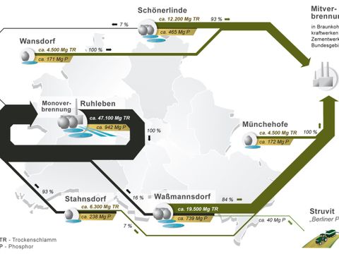 Die Grafik zeigt die Klärschlammmengen und die enthaltenen Phosphorfrachten der sechs Kläranlagen.